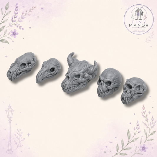 Five 1:12 scale fantasy monster skulls resin printed in grey and supplied unpainted for dolls houses, wizard studies and fantasy dioramas.